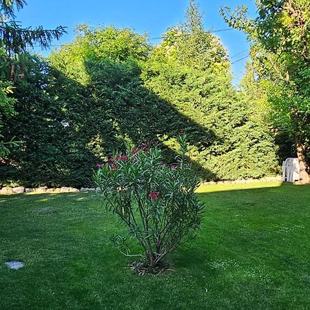Fuered Deluxe Garden Apartment Balatonfüred Eksteriør bilde