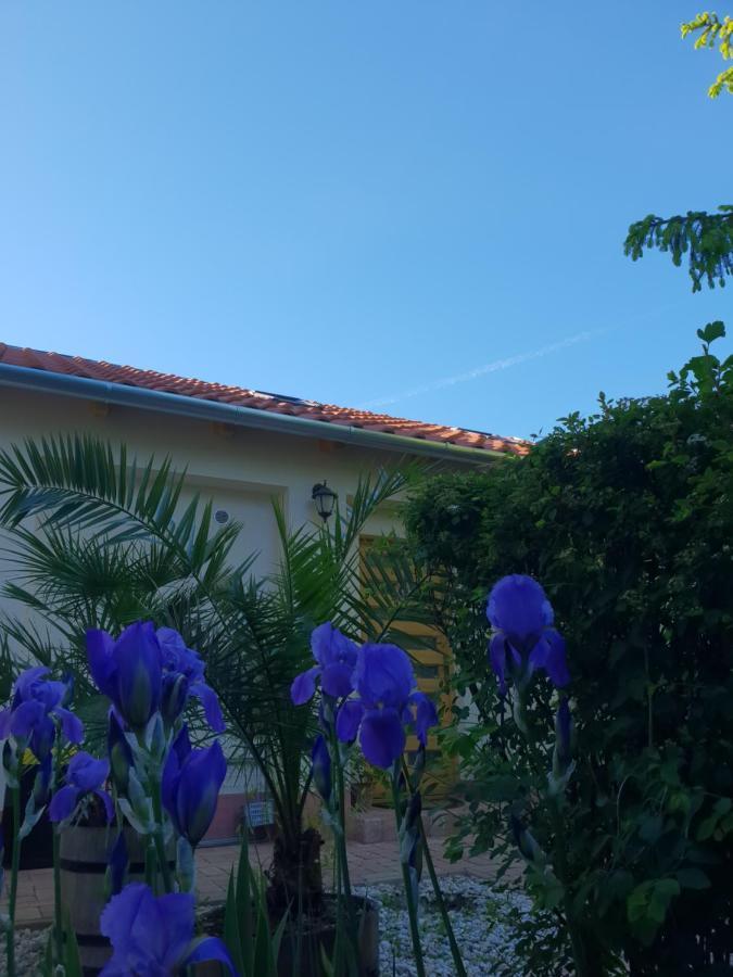 Fuered Deluxe Garden Apartment Balatonfüred Eksteriør bilde